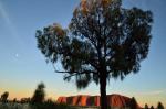 Uluru sunrise