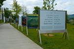 THE ALPS - A BIRD'S EYE VIEW exhibition in Bern