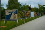 THE ALPS - A BIRD'S EYE VIEW exhibition in Bern