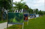 THE ALPS - A BIRD'S EYE VIEW exhibition in Bern